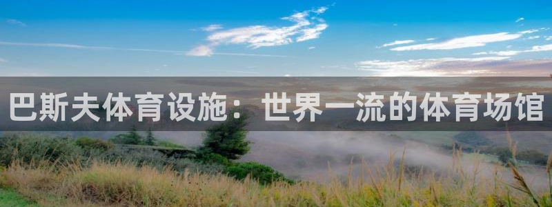 意昂体育3招商电话地址：巴斯夫体育设施：世界一流的体