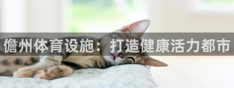 意昂体育3招商电话是多少：儋州体育设施：打造健康活力