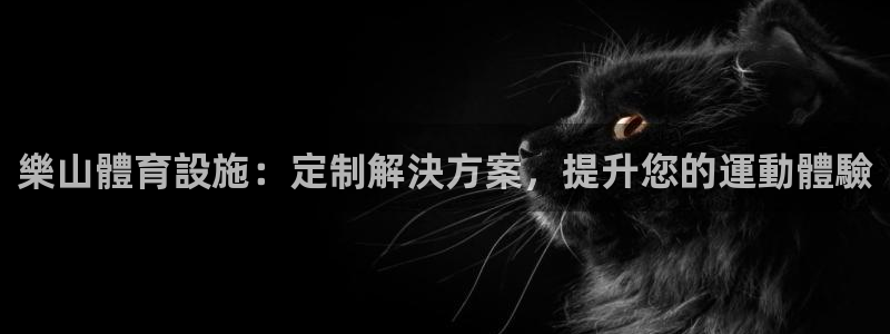 意昂体育3招商电话号码：樂山體育設施：定制解決方案，