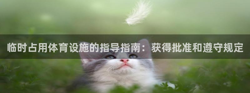 意昂体育3平台APP：临时占用体育设施的指导指南：获