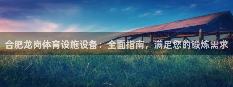 海南意昂体育3：合肥龙岗体育设施设备：全面指南，满足
