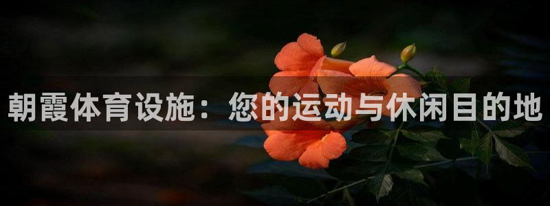 意昂体育3平台注册要钱吗：朝霞体育设施：您的运动与休