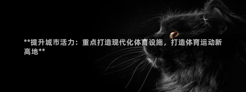 意昂3娱乐首页官网下载：**提升城市活力：重点打造现代化体育
