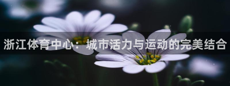 意昂体育3平台