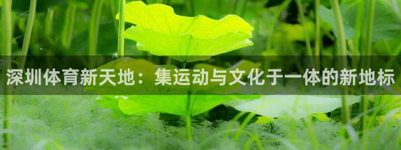 意昂体育3开户