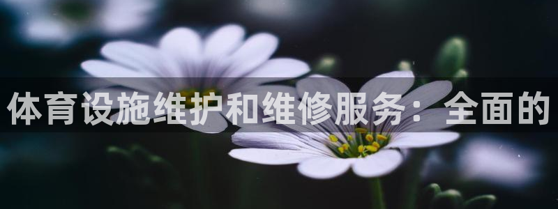 意昂体育3平台注册要钱吗安全吗：体育设施维护和维修服务：全面