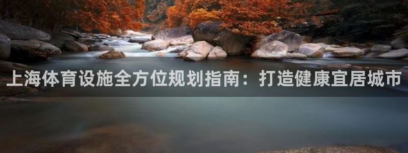 意昂体育3平台：上海体育设施全方位规划指南：打造健康宜居城市