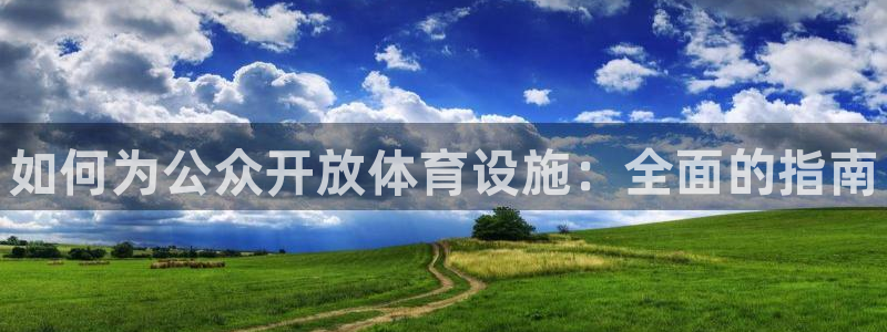 意昂3集团E.ON：如何为公众开放体育设施：全面的指