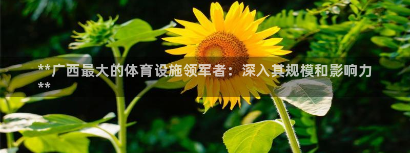 意昂体育3注册：**广西最大的体育设施领军者：深入其规模和影