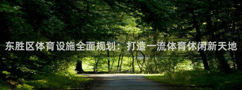 意昂体育3是干嘛的公司：东胜区体育设施全面规划：打造一流体育