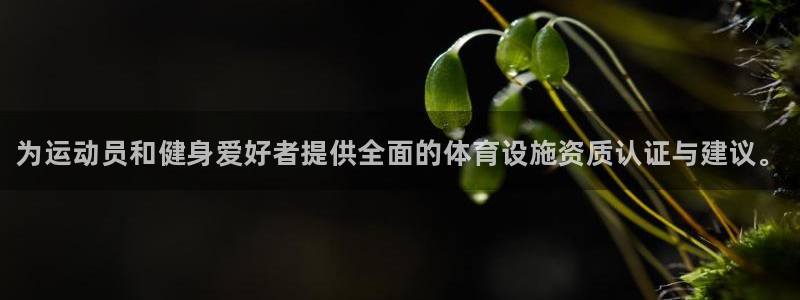 意昂体育3平台注册流程图