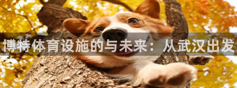 意昂3集团logo：博特体育设施的与未来：从武汉出发