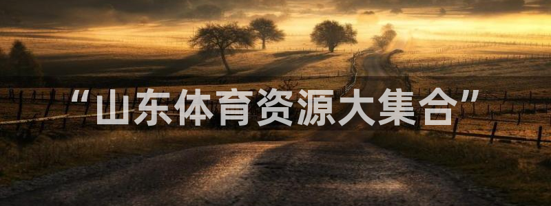 意昂体育3平台注册流程图：“山东体育资源大集合”