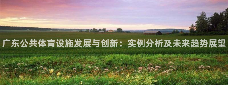 意昂3娱乐下载：广东公共体育设施发展与创新：实例分析及未来趋