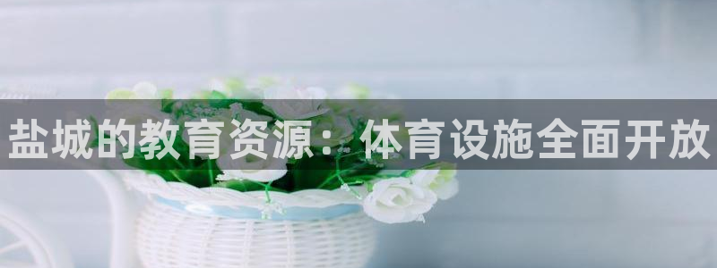 意昂3神州：盐城的教育资源：体育设施全面开放