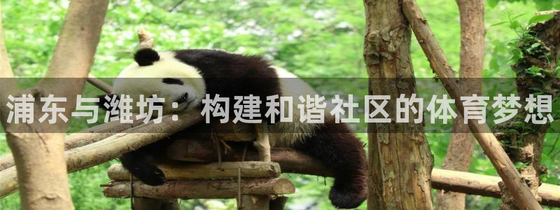意昂体育3官方客服电话：浦东与潍坊：构建和谐社区的体