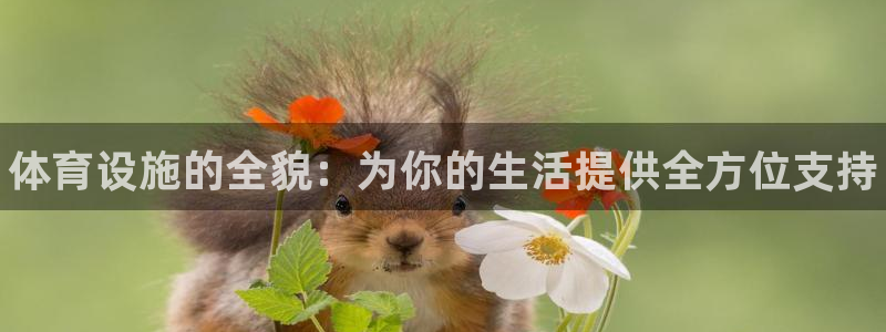 意昂3科技：体育设施的全貌：为你的生活提供全方位支持