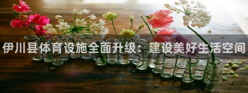 意昂3集团官网首页：伊川县体育设施全面升级：建设美好生活空间