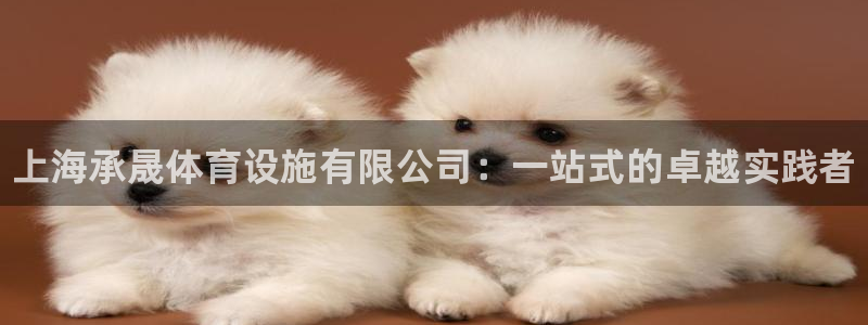 意昂3娱乐网站：上海承晟体育设施有限公司：一站式的卓越实践者