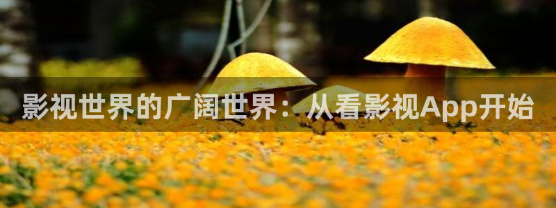 宅男视频观看：影视世界的广阔世界：从看影视App开始