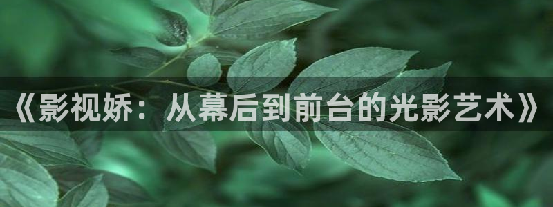 免费在线观看宅男视频：《影视娇：从幕后到前台的光影艺术》