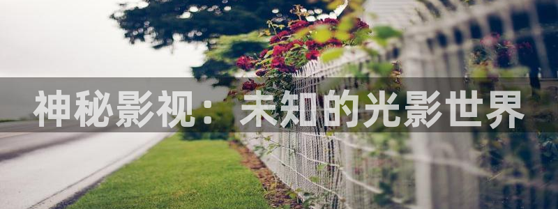 宅男视频啪啪啪：神秘影视：未知的光影世界